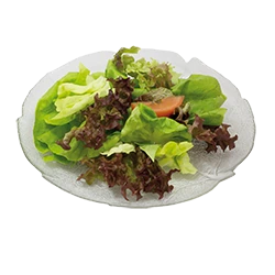 Grüner Salat (Vegi)